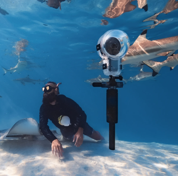 Insta360 Dive Buddy - Hands Free Water Accessory with Grip and Mount
