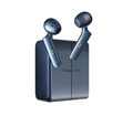 TimeKettle W4 AI Insterpreter Earbuds