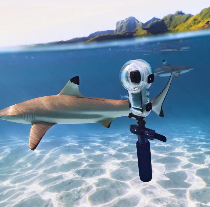 Insta360 Dive Buddy - Hands Free Water Accessory with Grip and Mount